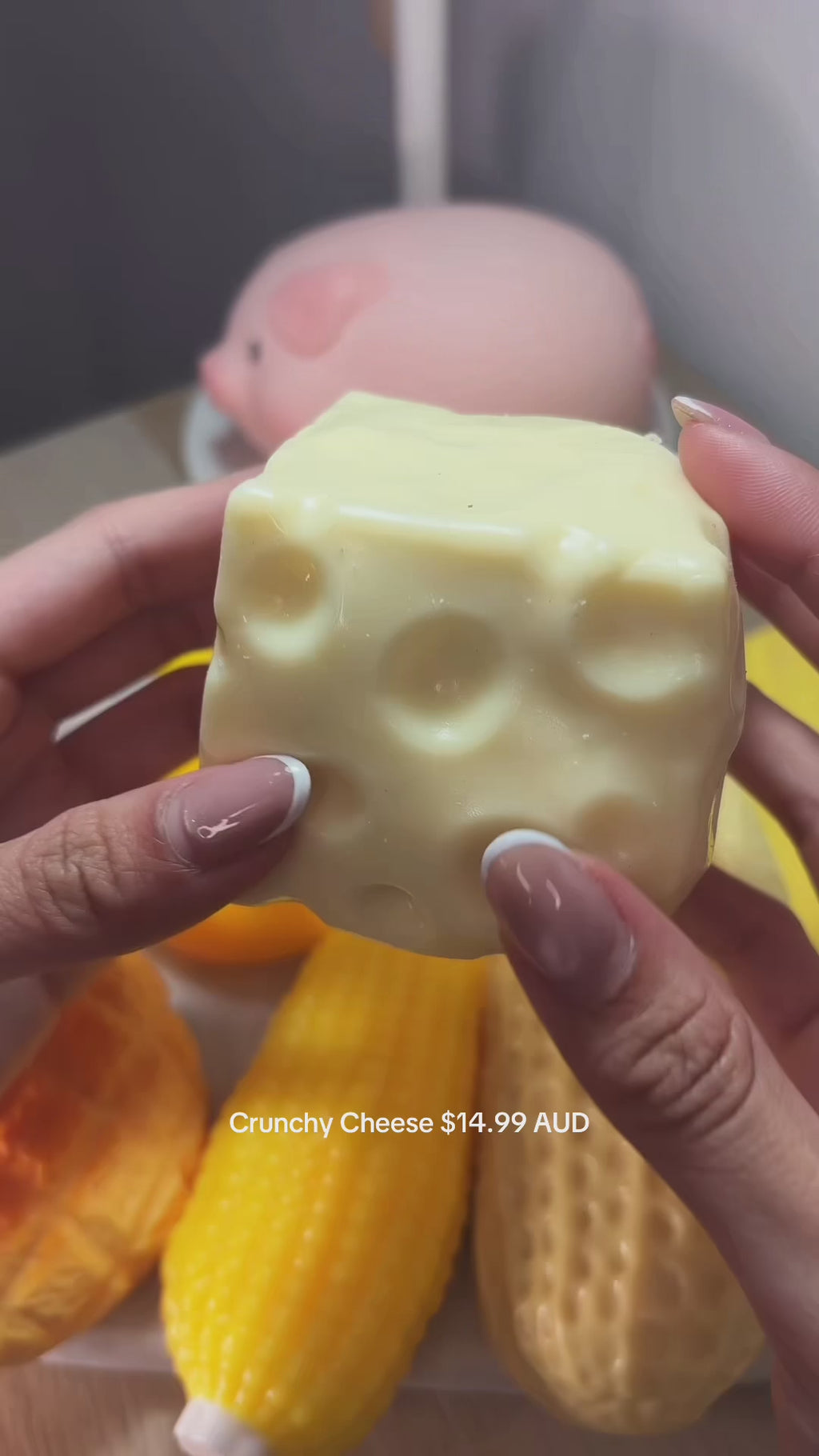 Crunchy Cheese Squishy